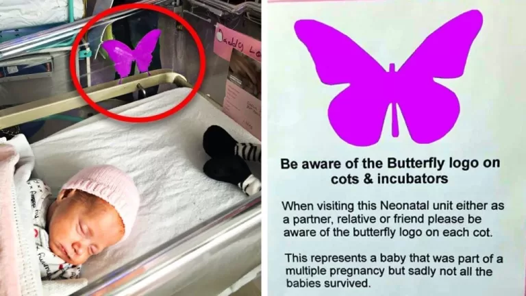 If You See A Purple Butterfly Sticker Near A Newborn, You Need To Know What It Means