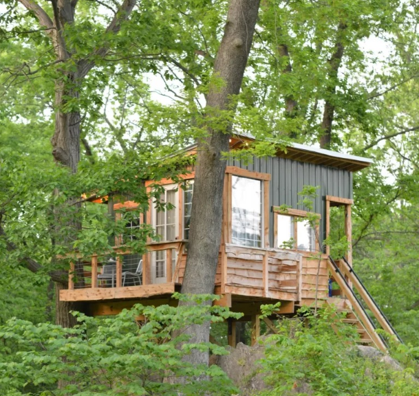 “He May Even Quit His Job And Do Not Work Anymore”: This Guy Rents Out a Tree House in His Backyard And Earns Up To $30,000 a Year!