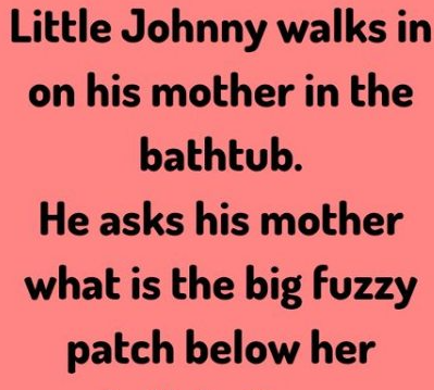 Little Johnny Walks in on his mother