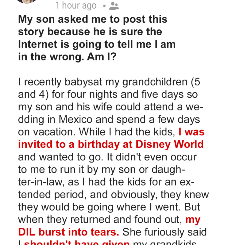 I Took My Grandchildren to Disney World and Now My Dil Is Mad at Me