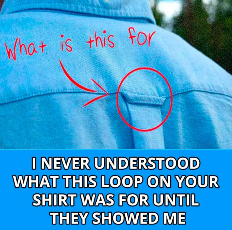 Why Do Button-Down Shirts Have Loops On the Back?