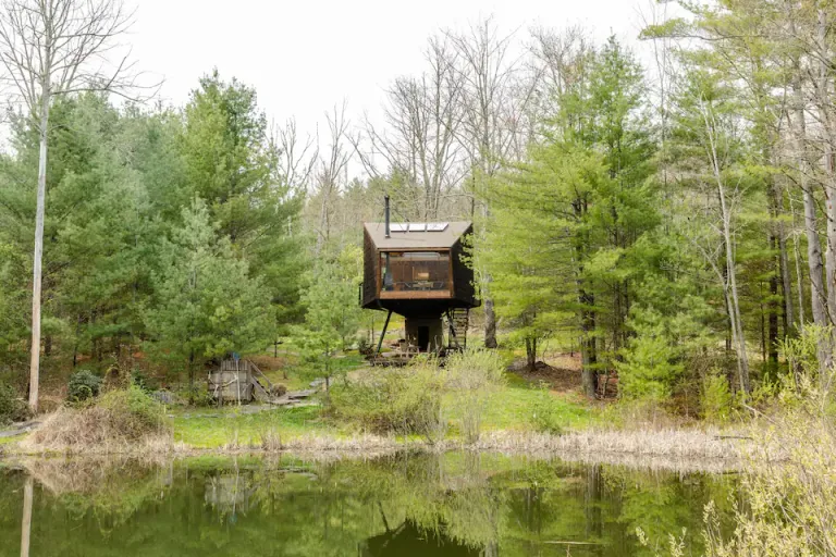 Escape to Serenity: The Willow Treehouse
