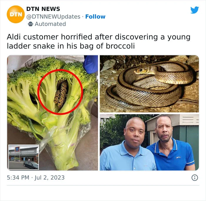 “Shocking Encounter, Man’s Horrifying Discovery Inside Bag Of Aldi-bought Broccoli”