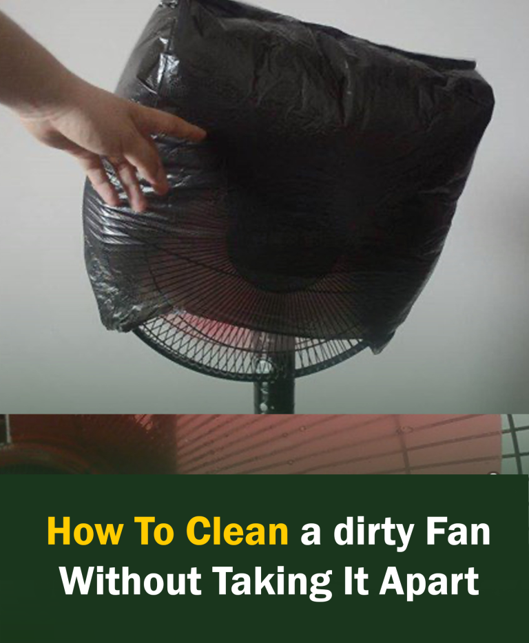 How To Clean a Fan Without Taking It Apart