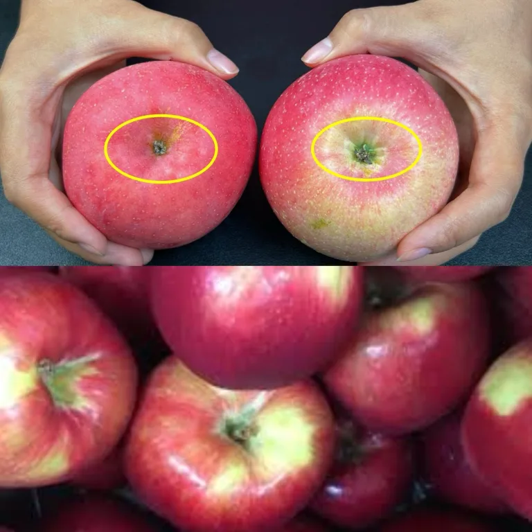 Tips for Selecting the Best Apples! One Second to Identify Crispy and Sweet Varieties