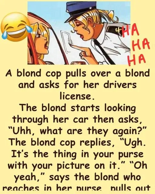 Are You Blonde?