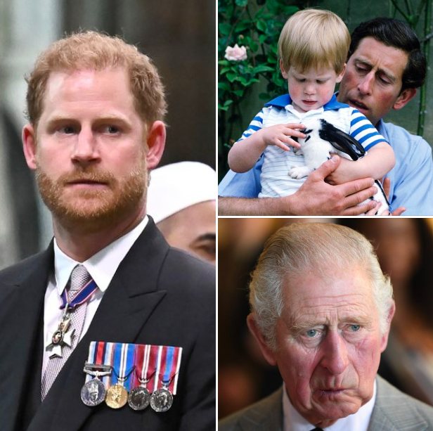 The one thing Prince Harry ‘has always hated’ about his father Charles, disclosed by royal expert