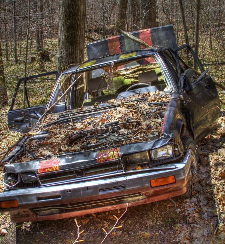 Man Was Shocked by What He Found in the Trunk of an Old Car Abandoned in the Forest