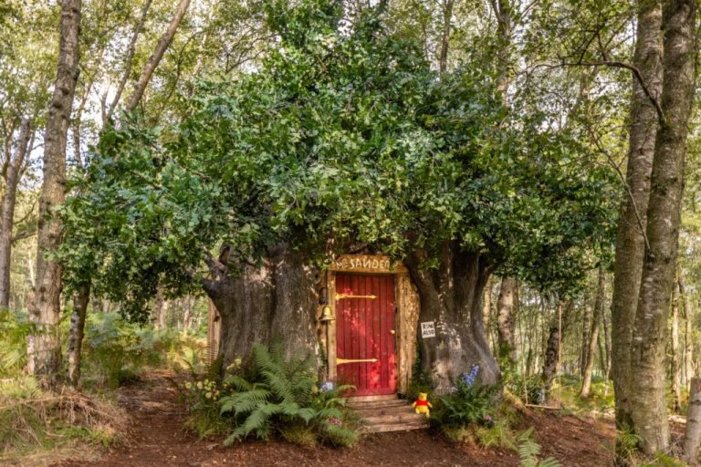 Rent Winnie the Pooh’s House in the Hundred Acre Wood with Airbnb