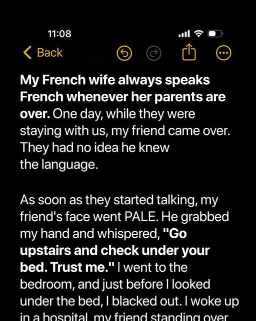 I Asked My Friend to Come over & His Ability to Speak French Revealed a Startling Family Drama