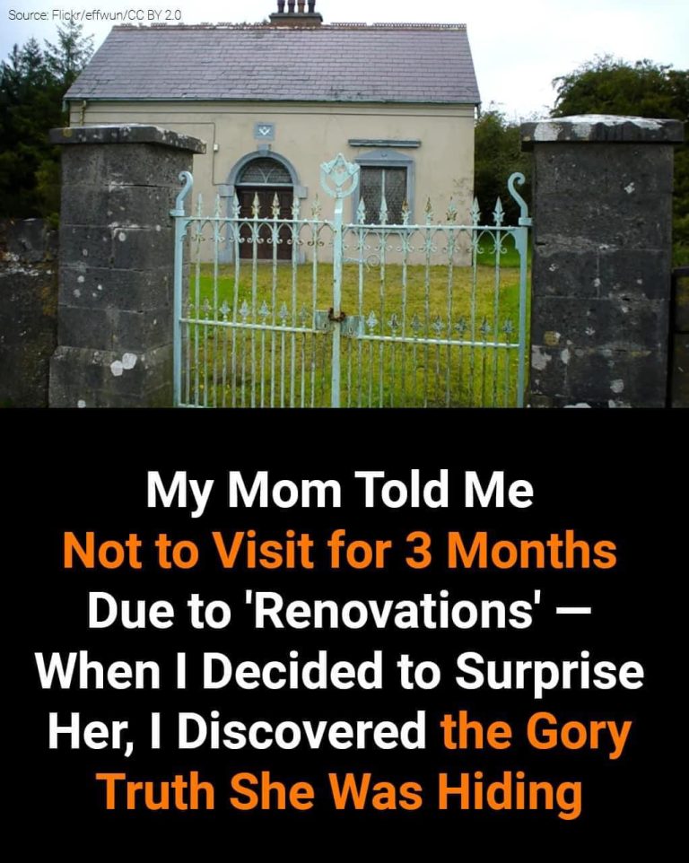 My Mom Told Me Not to Visit for 3 Months Due to ‘Renovations’ — When I Decided to Surprise Her, I Discovered the Gory Truth She Was Hiding