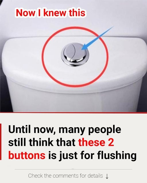 Most People Don’t Know the Real Purpose of These 2 Toilet Buttons