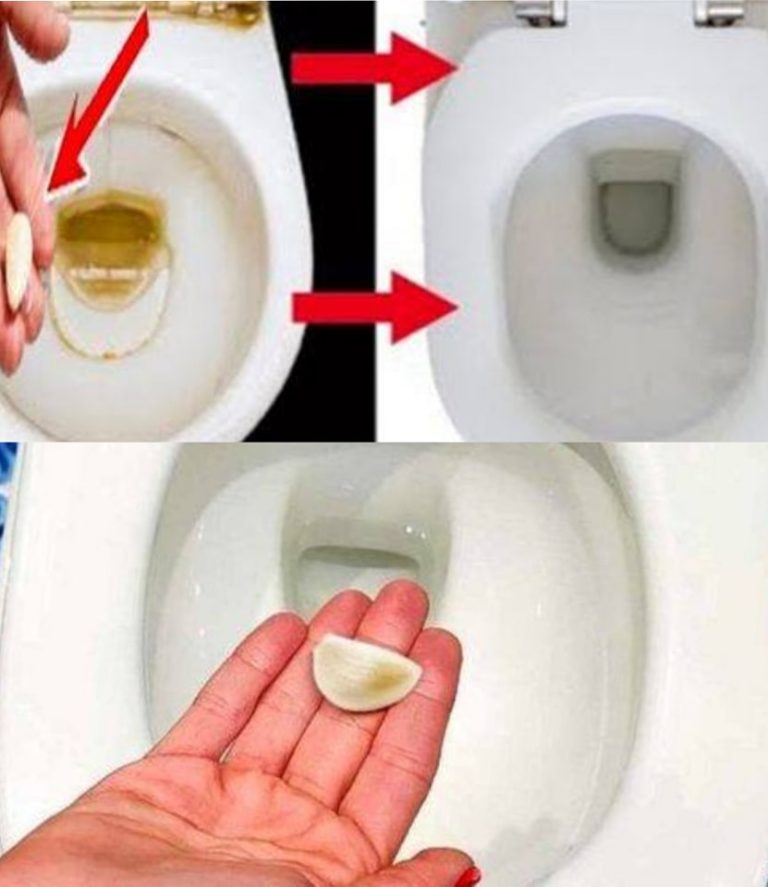 Put a clove of garlic in your bathroom at night and you won’t be disappointed.