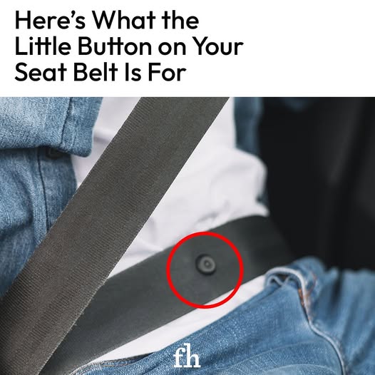 Do You Know What That Little Button on Your Seat Belt Is For?