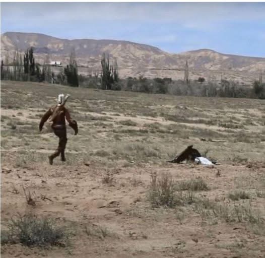 Disturbing Video Captures Enormous Golden Eagle Attempting to Snatch 8-Year-Old Girl