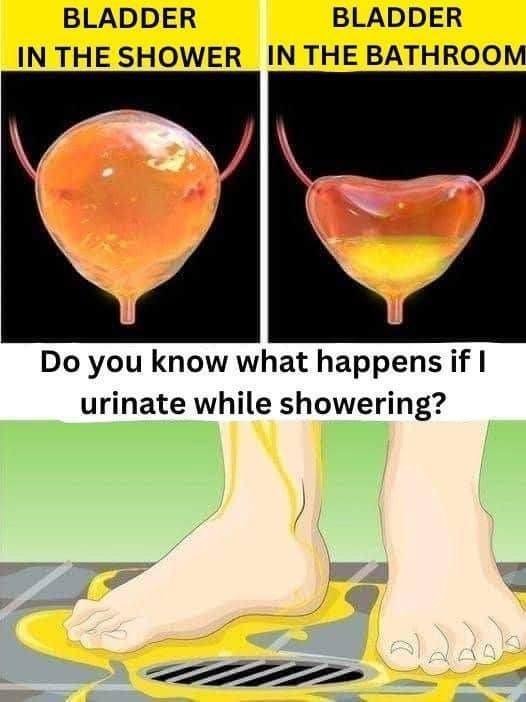 If you urinate in the shower…