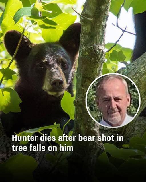 A Tragic Hunting Accident: A Life Lost in the Virginia Wilderness