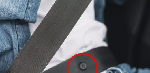 Do You Know What That Little Button on Your Seat Belt Is For?