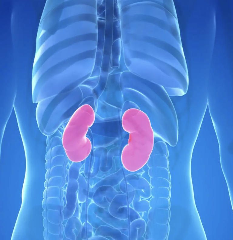 10 Warning Signs Your Kidneys May Be in Danger