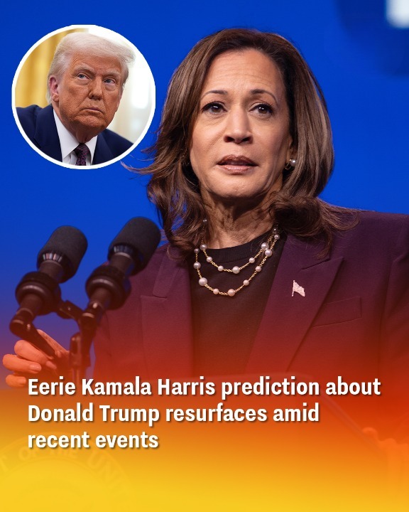 A Past Warning from Kamala Harris About Trump Is Making Waves Again