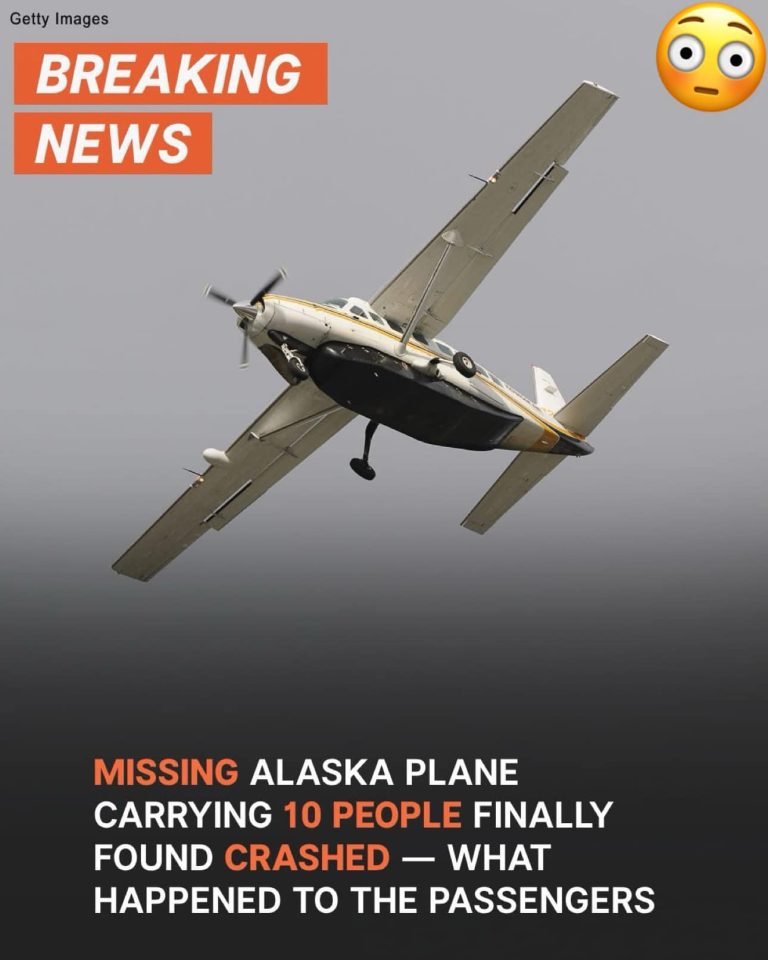 Wreckage of missing Alaska plane with 10 aboard finally located – Photo and details