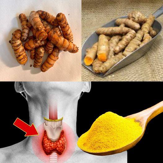 Supporting Thyroid Health with Turmeric