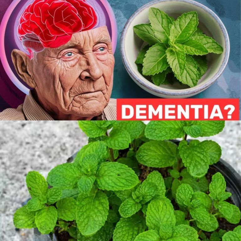 The Leaf That Prevents Alzheimer’s and Dementia After Age 50: Mint