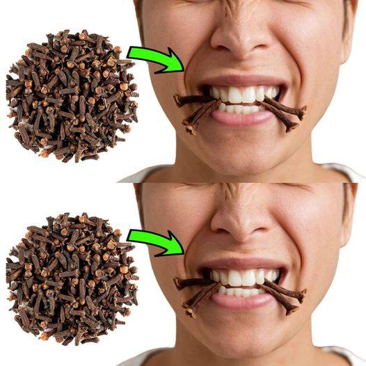 Why Chewing Cloves Is Good for Your Health