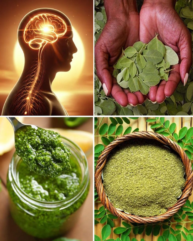 Discover The Miraculous Benefits of Moringa