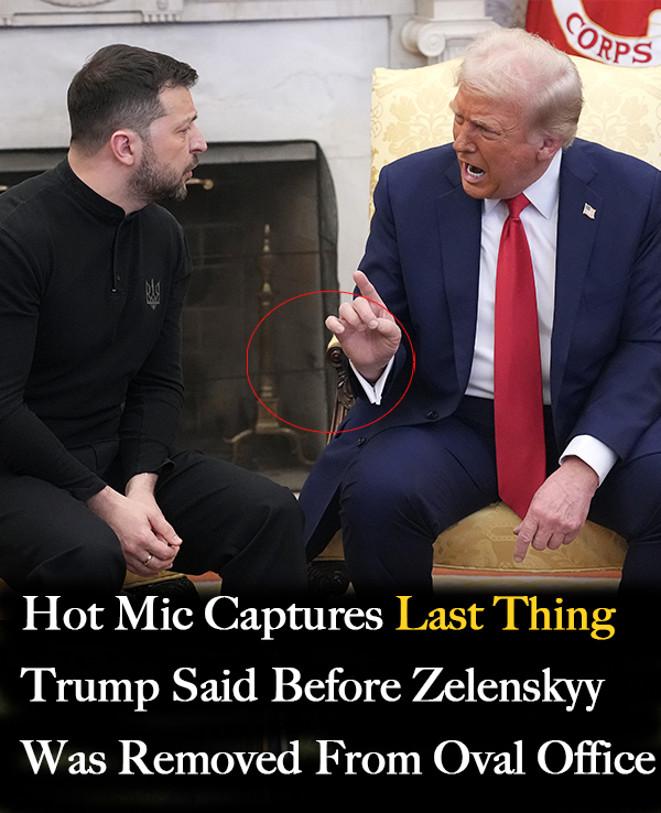 Hot mic catches Trump’s words before Zelenskyy was removed from Oval Office