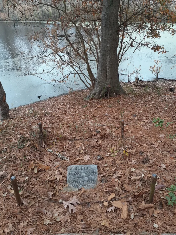 Man Breaks Down In Tears After Seeing What’s Written On Grave In The Middle Of The Woods