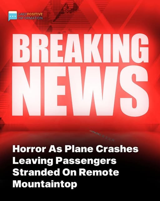 Passengers Are Left Stranded On A