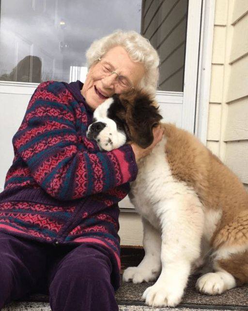 Until I saw her face after the neighbor’s dog left, I assumed Mom was just feeding him.