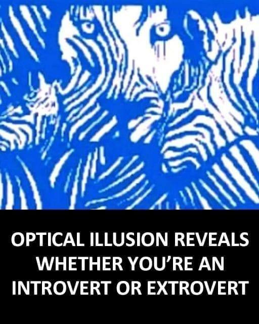 This Optical Illusion Says a Lot About Your Personality