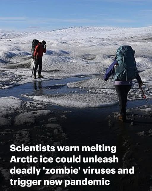 Just what 2025 needed. Read more👇🏻