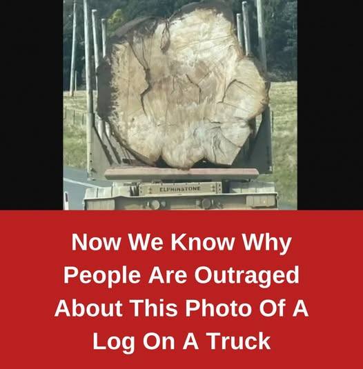 Now We Know Why People Are So Outraged About This Photo Of A Log On A Truck