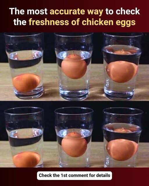 How to Tell If An Egg Has Gone Bad