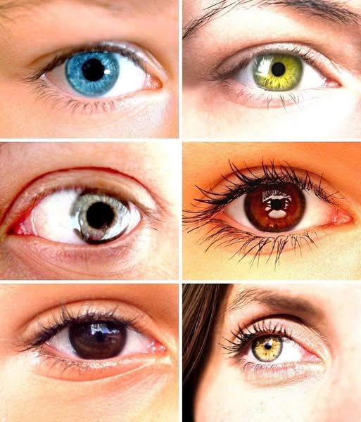 Scientists Discover The Connection Between Eye Color and Personality