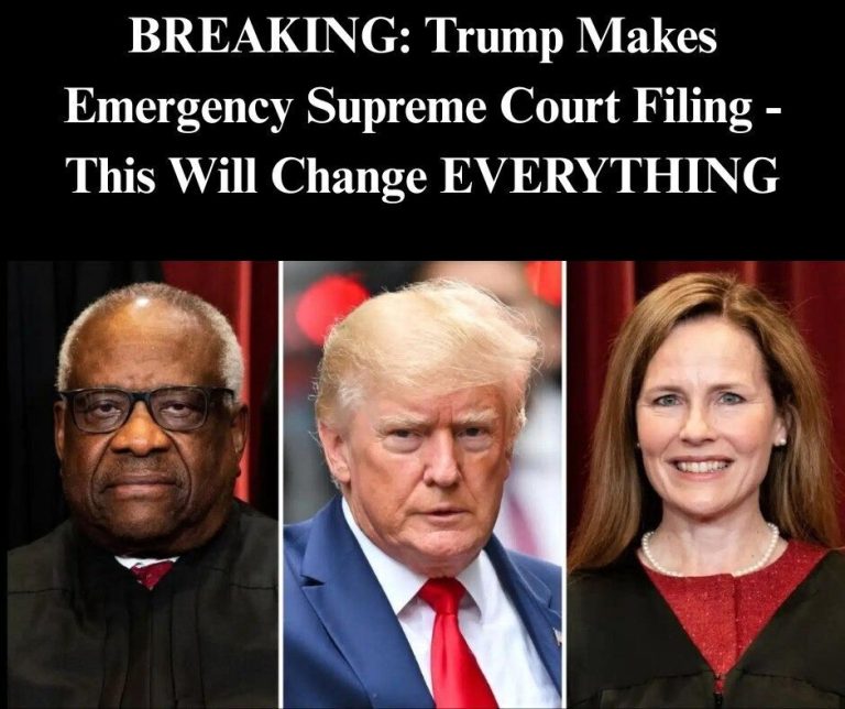 Trump Admin Asks Supreme Court To Step In On DOGE Case