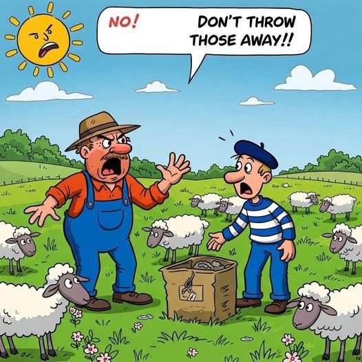 How a Sheep Farmer Overcame Challenges with the Help He Needed