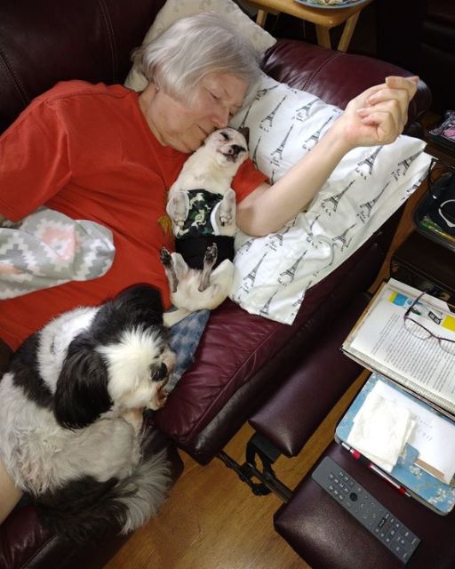 THE DOG WOULDN’T MOVE FROM HER CHEST—THEN I NOTICED HER HAND