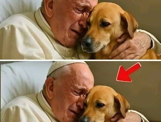 Pope Francis asked to say goodbye to his dog seconds before d… See more