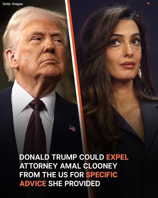 Amal Clooney at Risk of US Entry