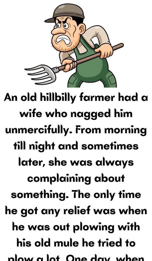 The Farmer’s Daily Struggles